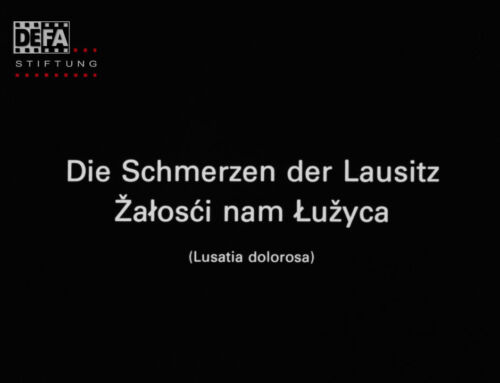 Die Schmerzen der Lausitz