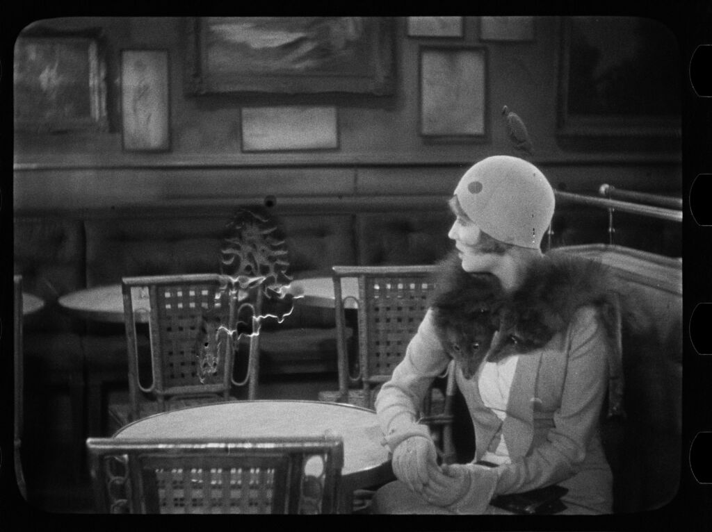 Cinegrell Postfactory | DFF: Grossstadtschmetterling
